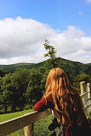 absdee profile photo