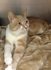 Lynn80 profile photo