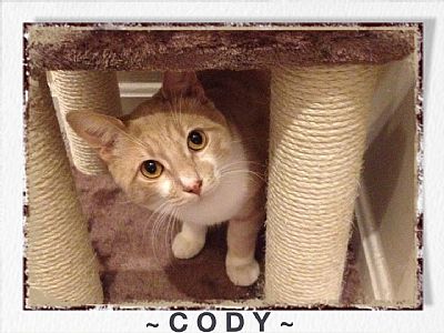 Lynn80 profile photo