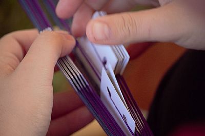 spiderspick profile photo