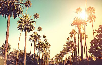 sandeepK profile photo