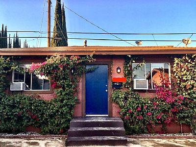 allygz profile photo