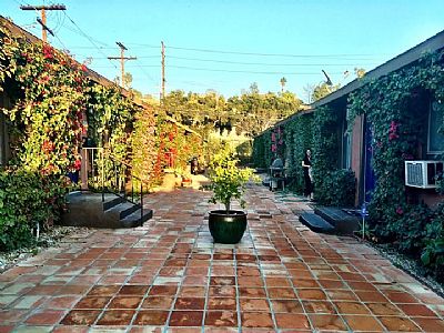 allygz profile photo