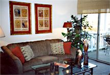 shawnee909 profile photo