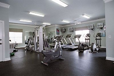 milafergs profile photo