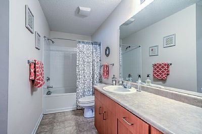 jpmannn profile photo