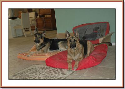 1stecar profile photo