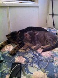 Kel3Jeannie profile photo