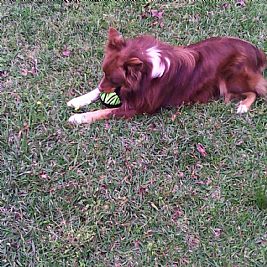 Debbieperry profile photo