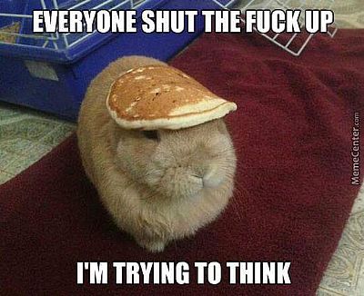 AshleyS96 profile photo