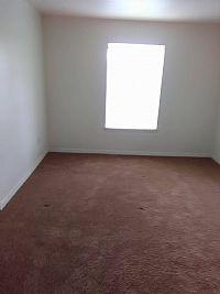 destinycorey profile photo