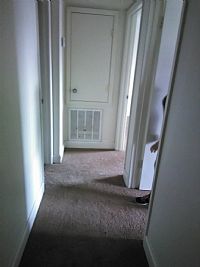 destinycorey profile photo