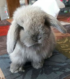 MWhite76 profile photo