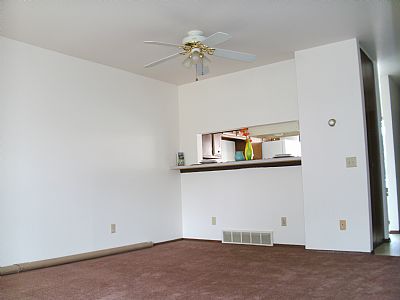 propainter profile photo