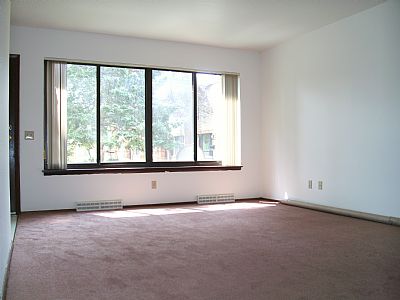 propainter profile photo