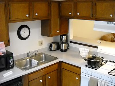 propainter profile photo