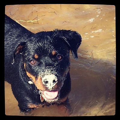 Cardsahumanity profile photo