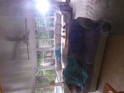 wpkplace profile photo