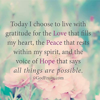 FreeRent profile photo