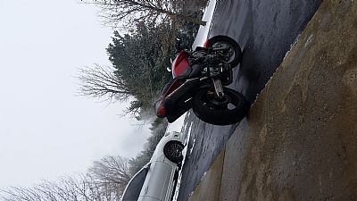 v.damico122 profile photo