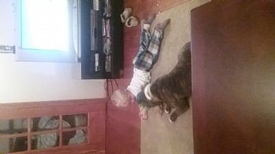 CaitlynJade profile photo