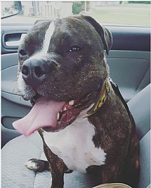 CaitlynJade profile photo