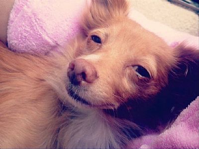 TayCo8 profile photo