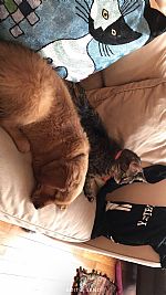 sagekermes profile photo