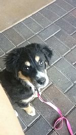 Jenna7986 profile photo