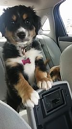 Jenna7986 profile photo