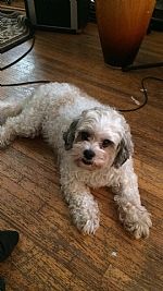 QuintenT profile photo