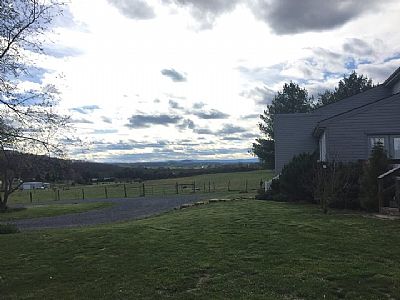 T Grow profile photo