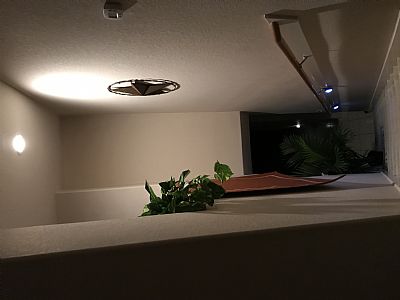 AABoss profile photo