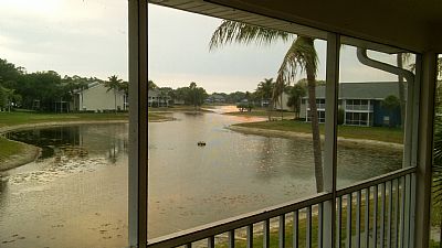 podoug profile photo