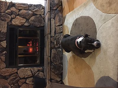 lharter88 profile photo