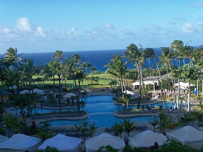 Sunnyme profile photo