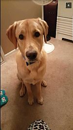 KeyKeyJ profile photo