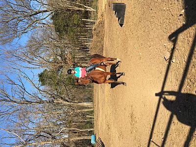 lizziebooc profile photo