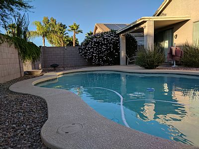 Room In N. Phx profile photo