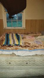 Michelle Russ profile photo