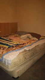 Michelle Russ profile photo