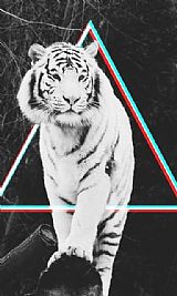 travisjbuck98 profile photo