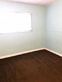 shellabean profile photo