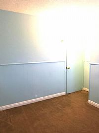 shellabean profile photo