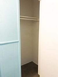 shellabean profile photo