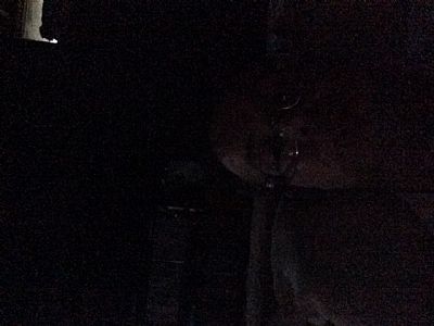 Sbarry profile photo