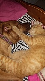 dmartucci profile photo