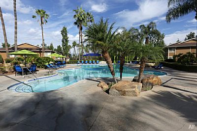 Evan Lowe profile photo