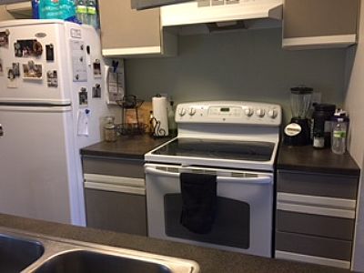 NeedsARoomate profile photo