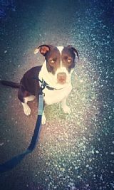 Rayment28 profile photo